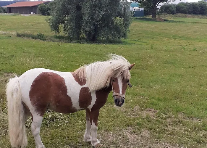 بيت للعطل Two Separate Under One Roof