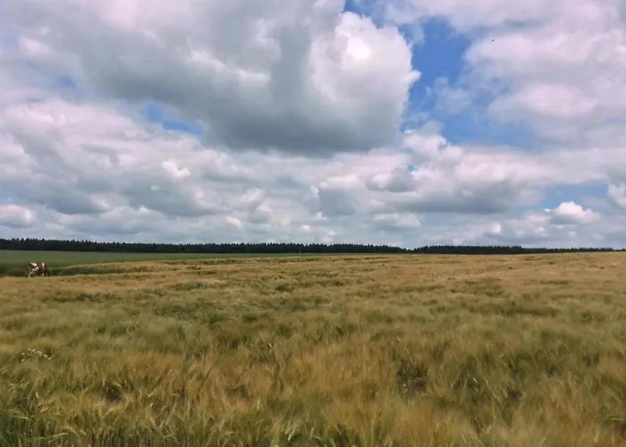 Two Separate Under One Roof بيت للعطل